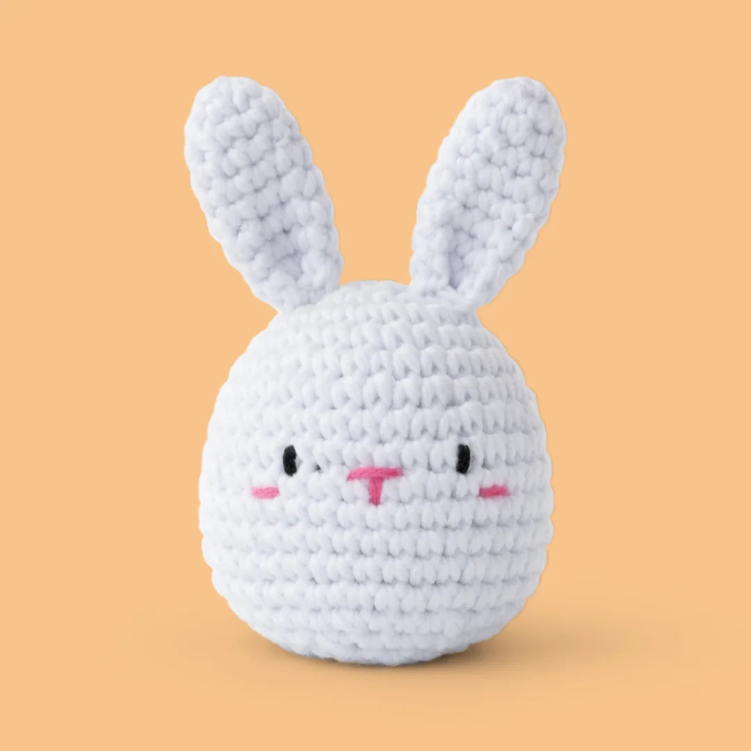 Mini Tavşan Amigurumi Kiti