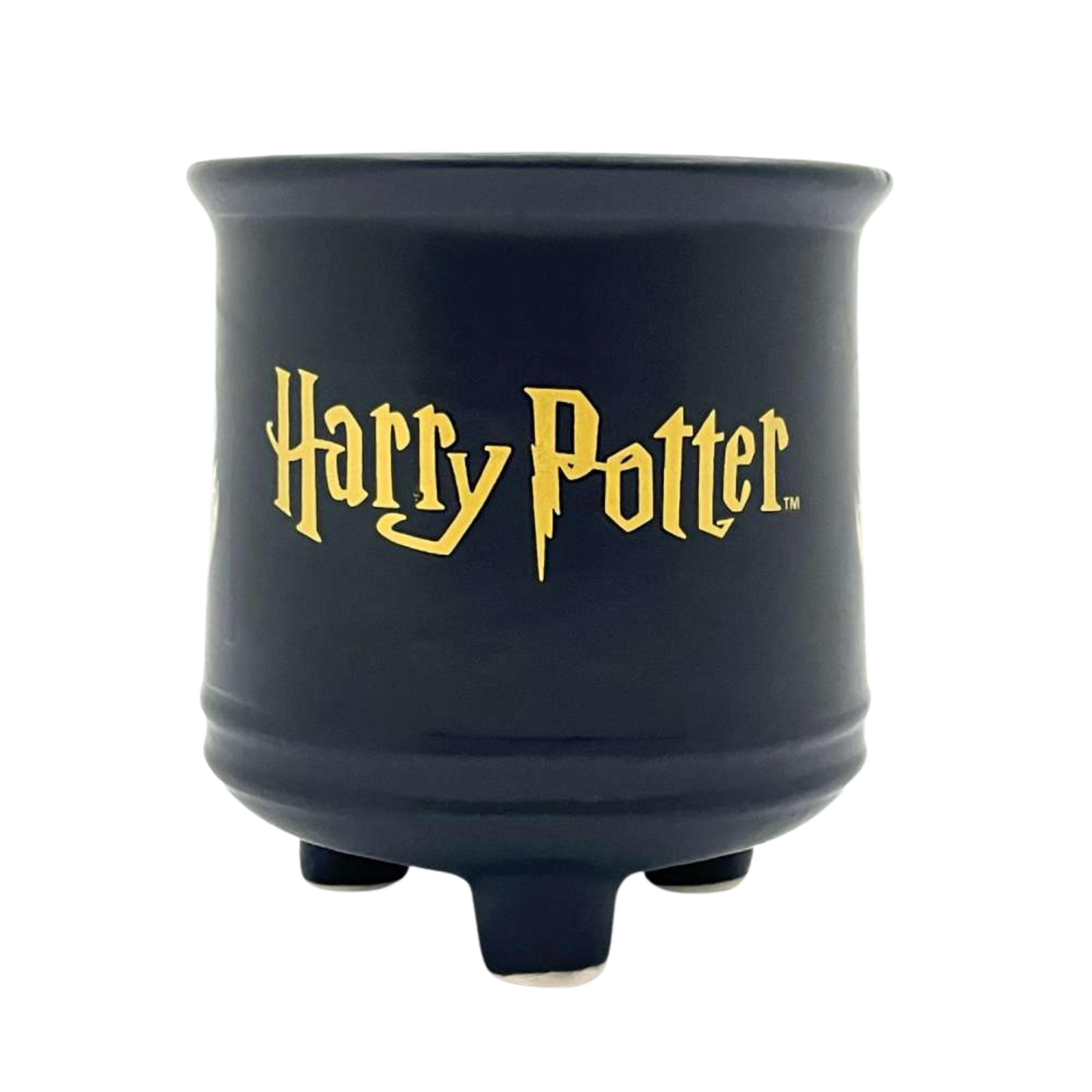 Harry Potter Seramik Kupa