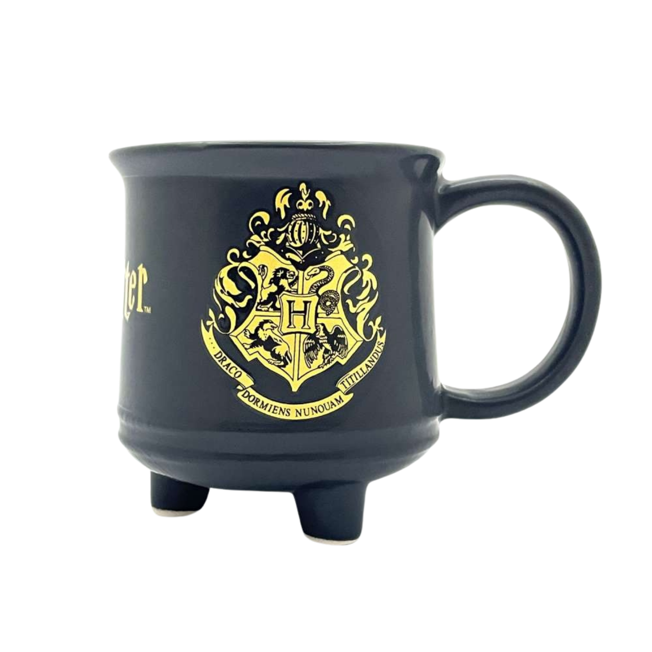 Harry Potter Seramik Kupa