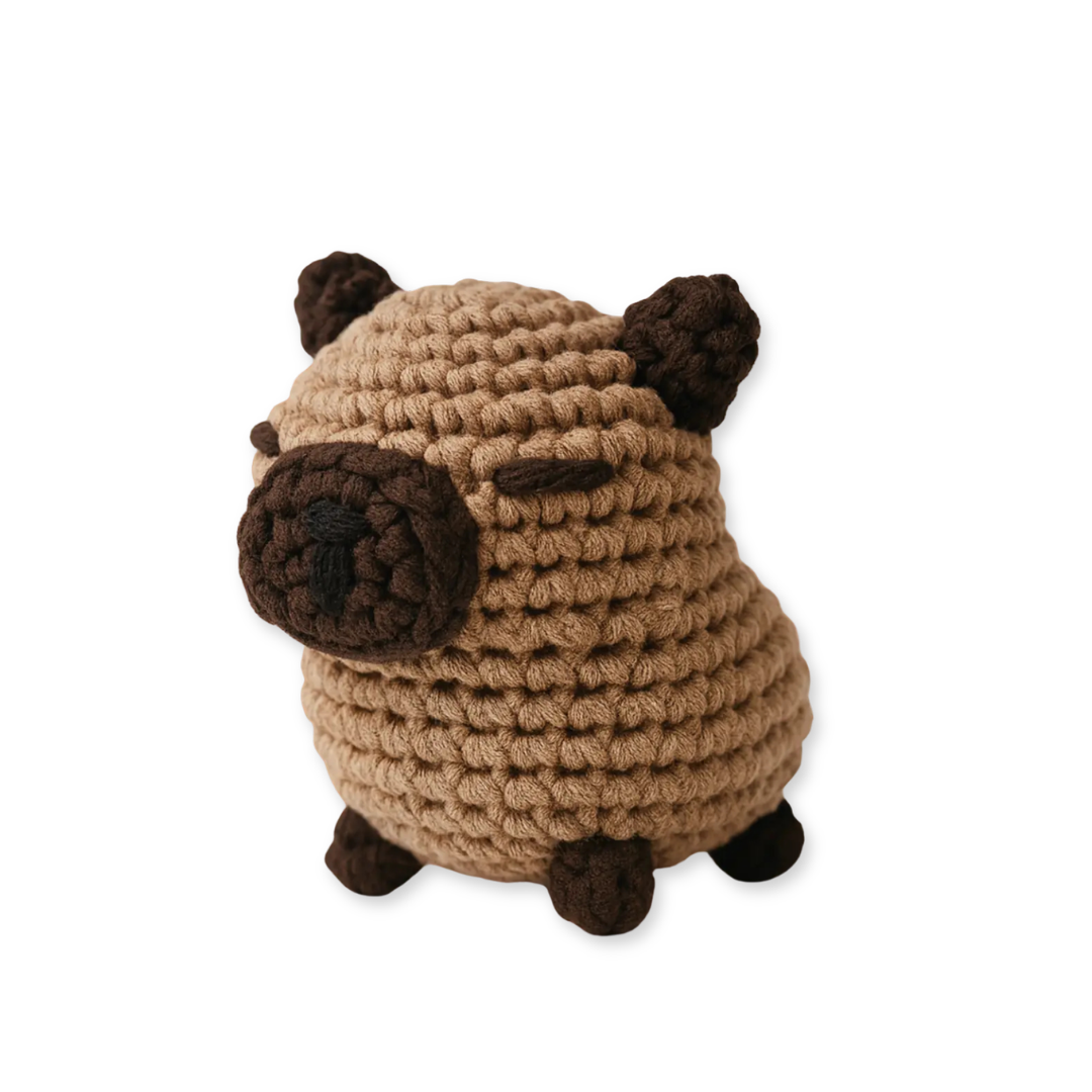Kapibara Amigurumi Kiti - Pratik Örgü İp