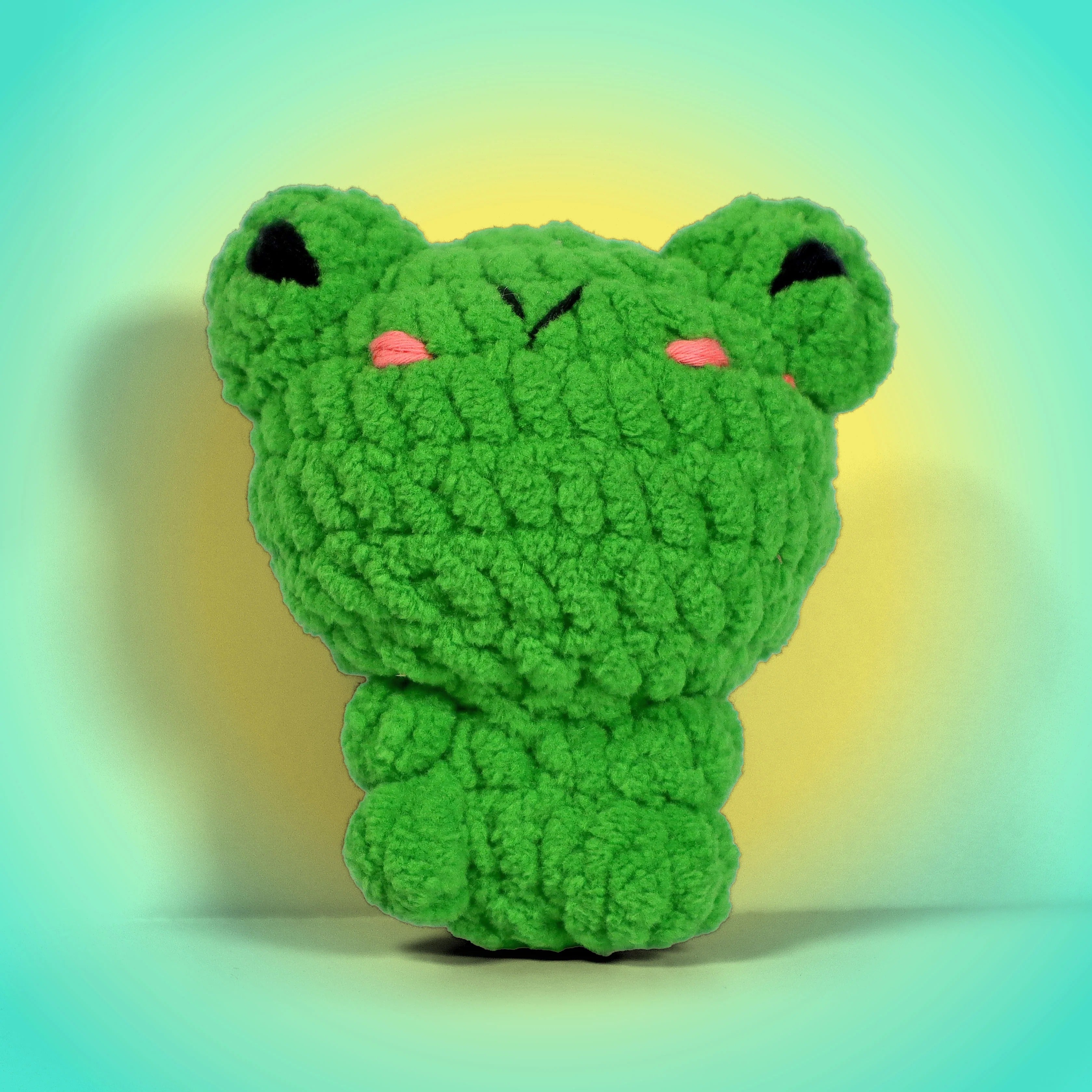 Kurbağa Floyd Amigurumi Kiti